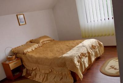 Vila 7 camere, 200 mp, zona Maneciu Pamanteni - 11