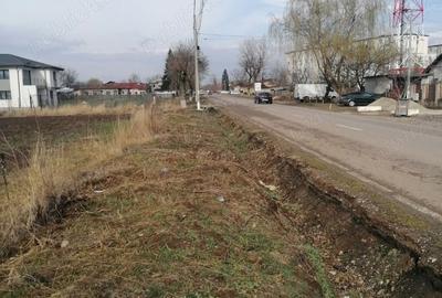 Teren de 7500 mp, în Adunații-Copăceni - 6