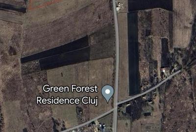 Teren Construcții intravilan de 27000 mp, în Feiurdeni - 1