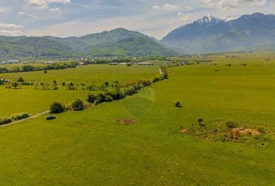 Teren 862mp Rasnov/Intravilan Teren 862mp Rasnov/Intravilan - 8