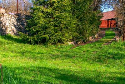 Domeniu exclusivist cu izvor propriu – Cheile Turzii / Munții Apuseni - 3