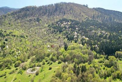 Teren de 5500 mp, în Cristian - 2