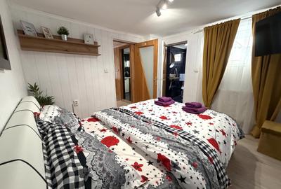 Apartament cu 4 camere decomandat, mobilat în Valea Alba - 3