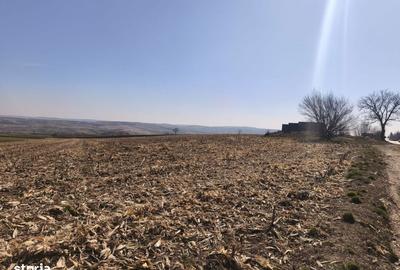 Teren de 6500 mp, în Grănicești - 3