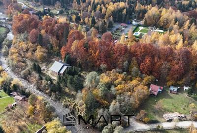 Pensiune 16 camere, teren 1ha, Valea Avrigului - 2