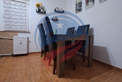 Apartament cu 2 camere semidecomandat, mobilat în Craiovița Nouă - 10