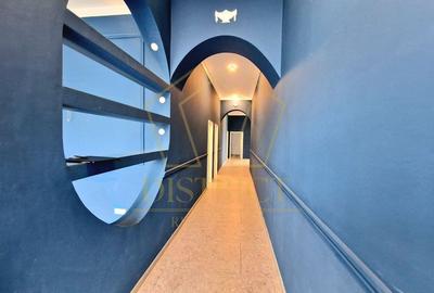 Spatiu Comercial 188mp | Mosnita Noua - 3