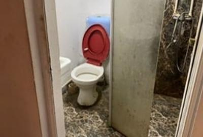 Nerva Traian Timpuri Noi - 19