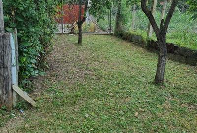 Casa de vanzare ocna mures - 5