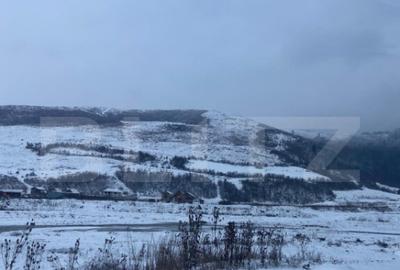Cabana la munte in inima padurii la 15 km de Bra?ov, zon - 5