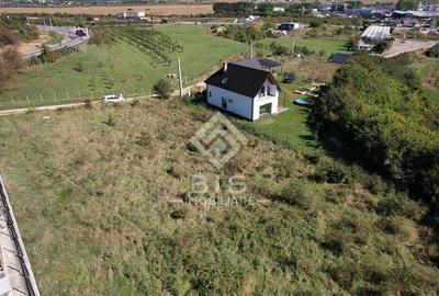 Teren Intravilan - Viisoara - 7