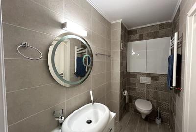 Apartament cu 3 camere decomandat, mobilat în Theodor Pallady - 17