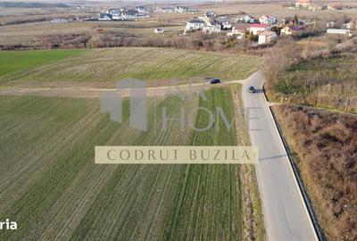 Teren de 2500 mp, în Bucov - 3
