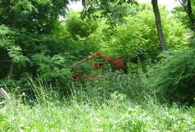 Teren de 643 mp, în Cornu - 1