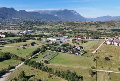 Teren Construcții intravilan de 6648 mp, în Tohanu Nou - 6