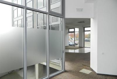 Spatiu birouri de inchiriat, Timisoara Calea Aradului - 6