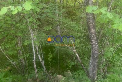 De vanzare teren intravilan 4235 mp Poiana Marului De vanzare teren intravilan 4235 mp Poiana Marului - 5