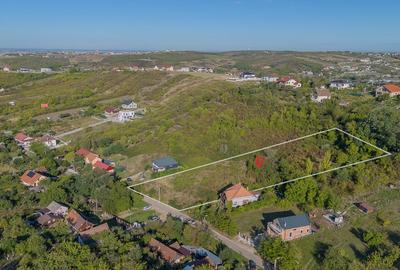 Teren 6.583 mp cu dubla deschidere si utilitati, Calea Adevarului - Oradea Teren 6.583 mp cu dubla deschidere si utilitati, Calea Adevarului - Oradea - 2