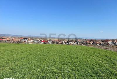 Teren de 5375 mp, în Oșorhei - 8