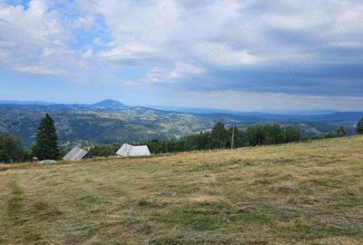 Teren în Poiana Mărului - 5