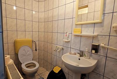 Bucurestii Noi | Casa individuala P+E cu 5 camere si pod | Curte,garaj si anexe - 28