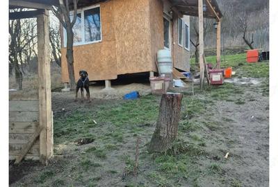 Casă în Central - 2