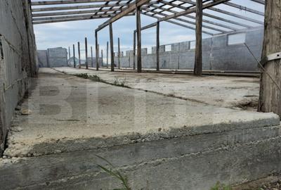 Teren intravilan cu constructie din caramida in Cheriu langa - 7