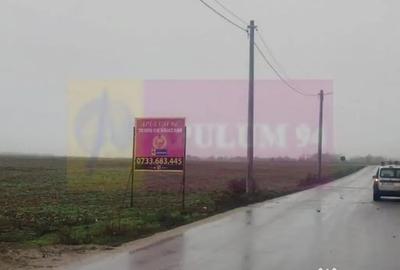 Teren în Dragomirești-Vale - 3