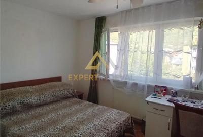 Apartament cu 2 camere în Săsar - 8