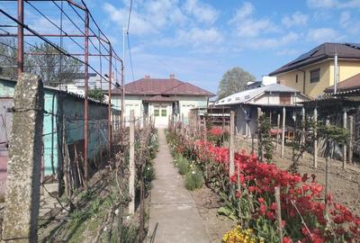 Casă cu Canalizare în Central - 3
