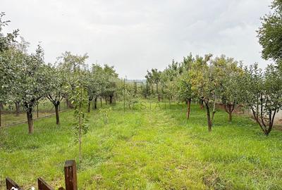 Casă cu 2 camere cu Teren 1591 Mp în Sânmartin - 10