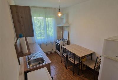 Apartament cu 2 camere semidecomandat, mobilat în Șagului - 3