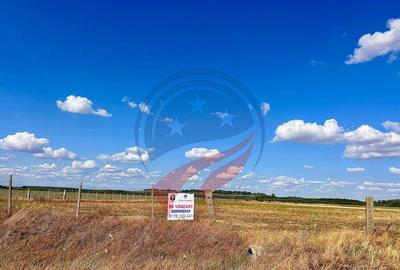 Teren 30.500 mp de vanzare in Livezi, Dolj - 1