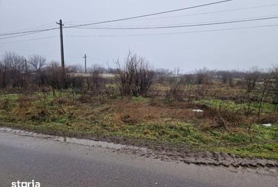 Teren de 13000 mp, în Frăsinet - 2