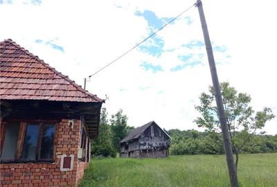 Borlovenii Noi, Teren Drept, 16000mp, la Limita Localitatii - 11