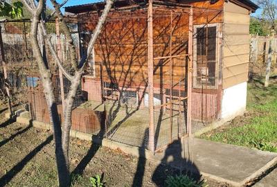 Casă cu 3 camere în Drănic - 3