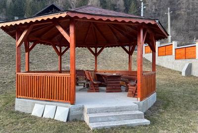 Casă cu 5 camere cu Teren 2189 Mp în Sadova - 4