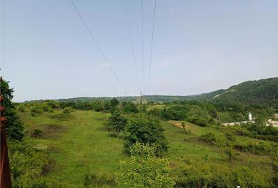 Teren de 11510 mp, în Central - 5