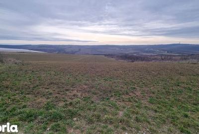 Teren de 2026 mp, în Paleu - 2