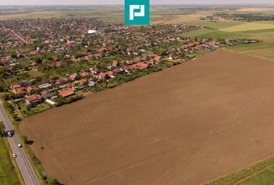 Teren de 28500 mp, în Șofronea - 6