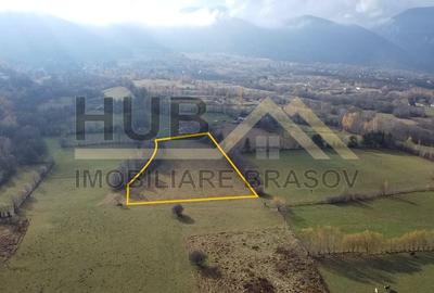 Teren Zarnesti | Tohanita | Intravilan | PUZ aprobat | Fara Utilitati | 9.053mp - 2