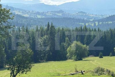 Teren de 20000 mp, în Central - 9