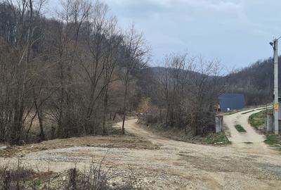 Spațiu comercial, în Bascov - 3