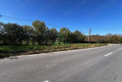 Teren de 4860 mp, în Copăcelu - 1