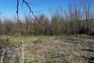 Teren de 1300 mp, în Exterior Vest