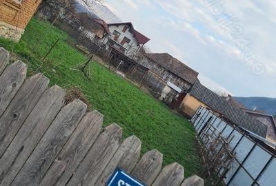 Casă în Jiblea Nouă - 9