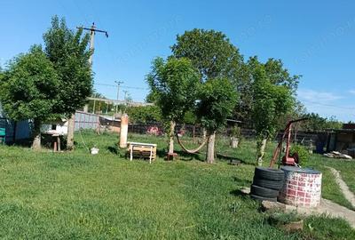 Casă cu 3 camere cu Teren 1800 Mp în Sărulești - 7