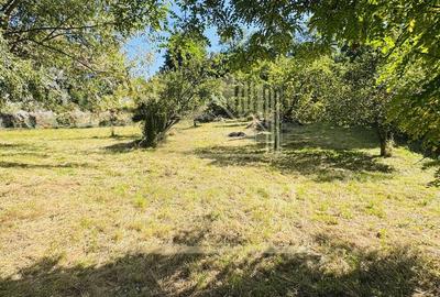 TEREN INTRAVILAN 3234 MP LERE?TI VOINE?TI ARGE? - 1