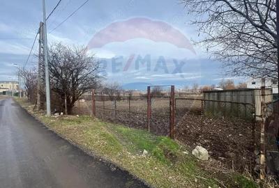Teren de 990 mp, în Palazu Mare