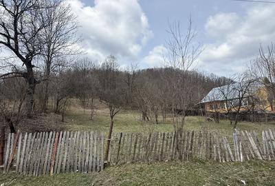 Teren Construcții intravilan de 6040 mp, în Drăgăneasa - 11